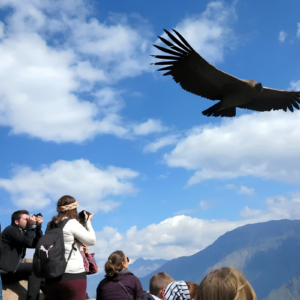 AQP-003 Arequipa & Colca Inolvidable
